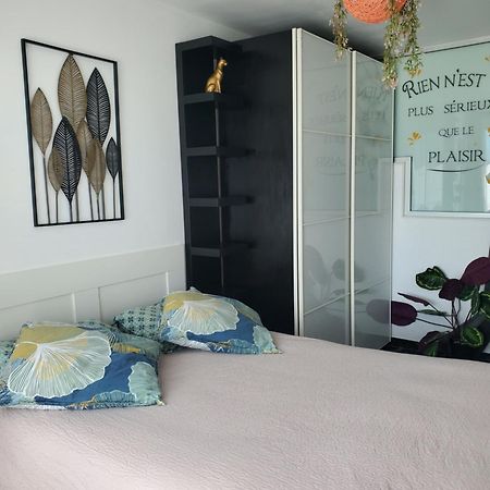 Appartement Cosy Entierement Equipe Toulouse Exteriér fotografie