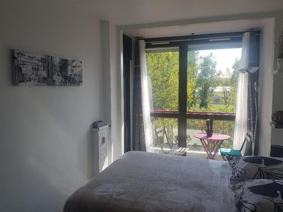 Appartement Cosy Entierement Equipe Toulouse Exteriér fotografie