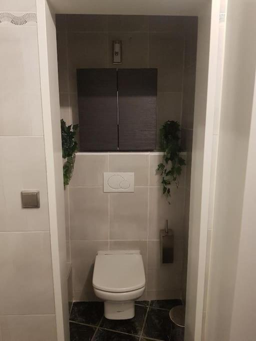 Appartement Cosy Entierement Equipe Toulouse Exteriér fotografie
